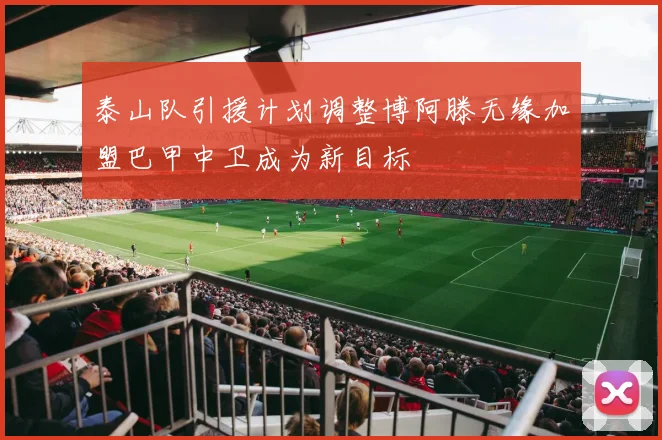 泰山队引援计划调整博阿滕无缘加盟巴甲中卫成为新目标