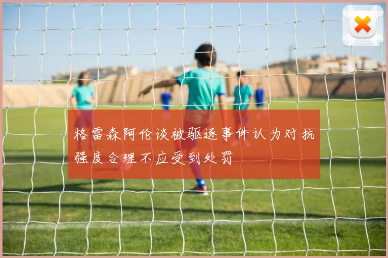 格雷森阿伦谈被驱逐事件认为对抗强度合理不应受到处罚