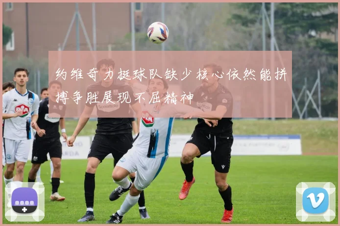 约维奇力挺球队缺少核心依然能拼搏争胜展现不屈精神