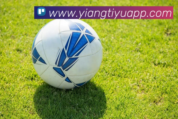 意昂体育全站App